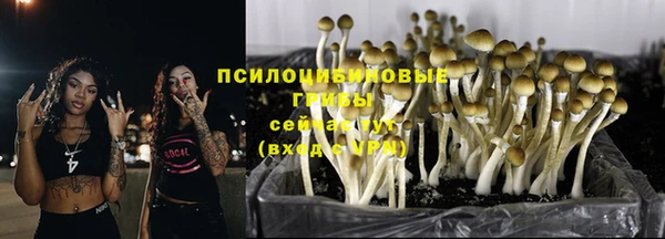 винт Касимов
