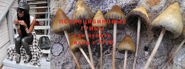 шишки Карталы