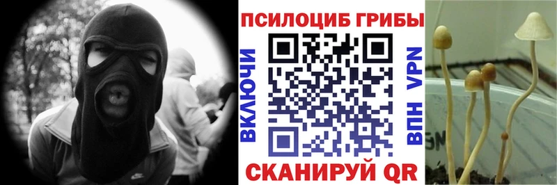 Псилоцибиновые грибы ЛСД  ссылка на мегу как войти  Новоузенск  закладка 